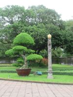 Bonsai, Kaiserstadt, Hue