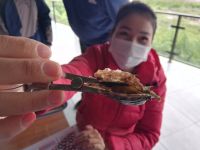 Perlenzucht, Vietnam 