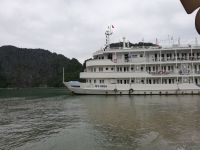 Wir sind hier nicht alleine