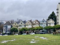 Painted Ladies San Francisco