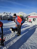 Bergstation Serles, Kevon mit Husky Loki