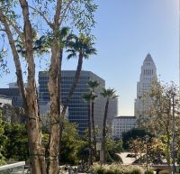 Downtown Los Angeles 