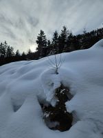 so viel Schnee unterwegs