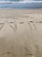 Sea Turtle Rescue Center, Acapulco 