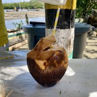 Kanufahrt Boquilla