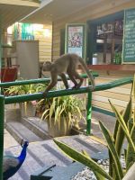 Cartagena, Kolumbien