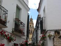 Blick auf die Mezquita