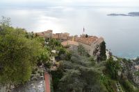 Tag 4 26.01.2024 im Garten von Èze