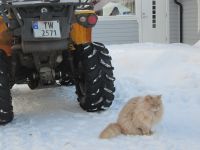 ein weiterer Besucher des Samencamps