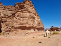 Ausflug Wadi Al Lawz