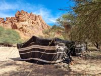 Wadi Al Disah - Mittags-Picknick auf einer Farm