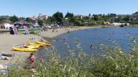 Strand am Llanquihue-See