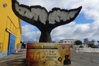 im Hafen von Punta Arenas