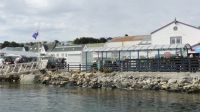 Port Stanley, Falklandinseln