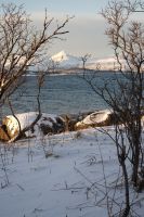 Südstrand - Tromsö - Norwegen