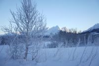 Blick auf die Lyngenalpen - Norwegen