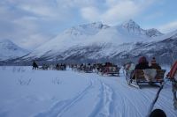 Rentierschlittenfahrt Richtung Lyngenalpen