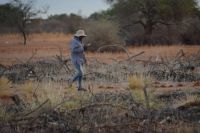 erst einmal Handy checken