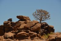 Harmonie in der Natur