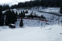 Auf 1500 m beginnt die durchgehende Schneedecke