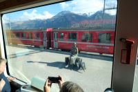 Die wartende Frau auf dem Bahnhof von Thusis