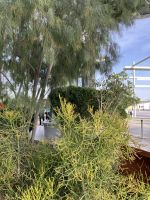 Dubai, EXPO-Gelände, im Nachhaltigkeits - Pavillion 