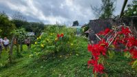 Kreuzfahrt Karibik - Blumenpracht im tropischen Garten in Jamaika