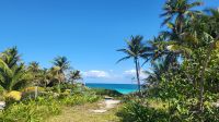 Kreuzfahrt Karibik - Besichtigung der Maya-Stadt Tulum, Mexiko