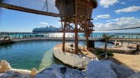 Kreuzfahrt Karibik - Cruise Terminal mit Delfinen in Costa Maya, Mexiko