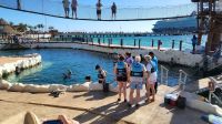 Kreuzfahrt Karibik - Cruise Terminal mit Delfinen in Costa Maya, Mexiko