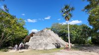 Kreuzfahrt Karibik - Chacchoben, Ruinenstätte der Maya, Mexiko