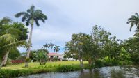 Kreuzfahrt Karibik - Bootsfahrt auf dem Belize River