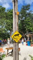 Kreuzfahrt Karibik - Mittagspause am Belize River