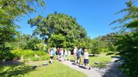 Kreuzfahrt Karibik - Rundgang im Botanischen Garten Arboretum, Honduras