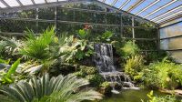 Kreuzfahrt Karibik - Rundgang im Botanischen Garten Arboretum, Honduras