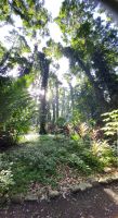 Kreuzfahrt Karibik - Start zu den Kanälen von Tortuguero, Costa Rica
