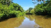 Kreuzfahrt Karibik - Bootsfahrt in den Kanälen von Tortuguero, Costa Rica