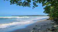 Kreuzfahrt Karibik - Spaziergang am Rande des Cahuita-Nationalparks, Costa Rica