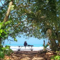 Kreuzfahrt Karibik - Spaziergang am Rande des Cahuita-Nationalparks, Costa Rica