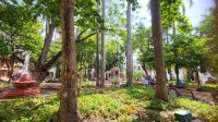 Kreuzfahrt Karibik - Parque de Bolívar in Cartagena, Kolumbien