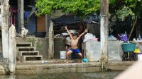 Kreuzfahrt Karibik - Begegnungen bei der Bootsfahrt entlang der Mangroven auf dem Belize River