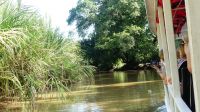 Kreuzfahrt Karibik - Bootsfahrt in den Kanälen von Tortuguero, Costa Rica