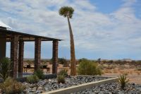 in der Alte Kalkofen Lodge zum Mittagessen
