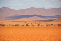 Licht und Schatten Namibias