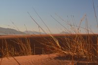 Stimmungsbild in Sossusvlei