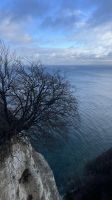 Rügen -Inselrundfahrt - Halt am Kreidefelsen