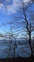 Rügen -Inselrundfahrt - Halt am Kreidefelsen