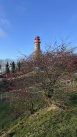 Rügen -Inselrundfahrt - Spaziergang Kap Arkona