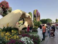 Dubai, Miracle Garden