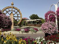 Dubai, Miracle Garden